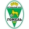 FC Gomel