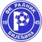 Radnik Bijeljina logo