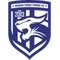 Wuhan Three Towns logo