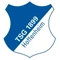 Hoffenheim logo