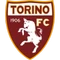 Torino logo