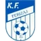 Ferizaj logo