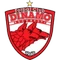 Dinamo Bucuresti logo