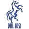 Poli Iasi logo