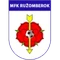 Ruzomberok logo