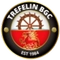 Trefelin