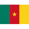 Cameroon flag