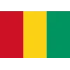 Guinea flag