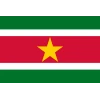 Suriname flag