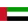 UAE flag